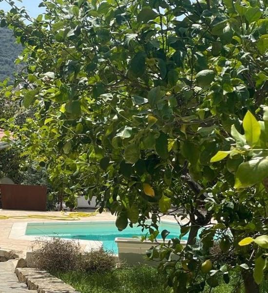 Sa Murta Bianca Guesthouse Budoni Ngoại thất bức ảnh